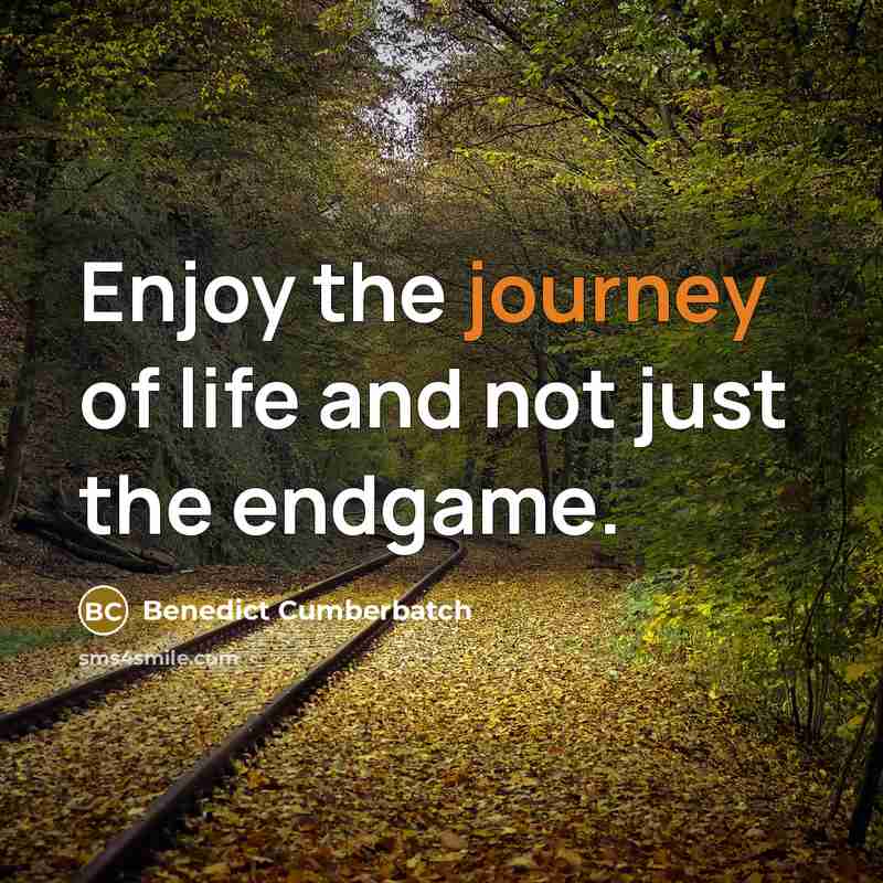 “Enjoy the journey of life and not just the endgame.…” quote by Benedict Cumberbatch