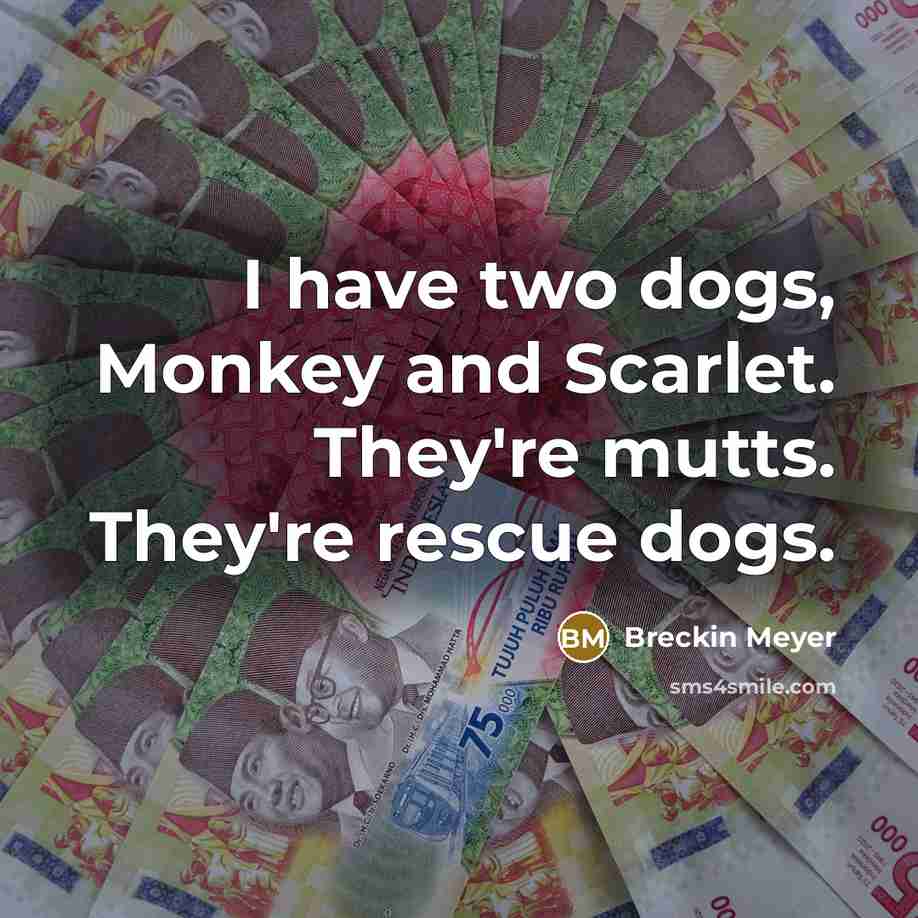 “I have two dogs, Monkey and Scarlet. They're mutts. They're…” quote by Breckin Meyer