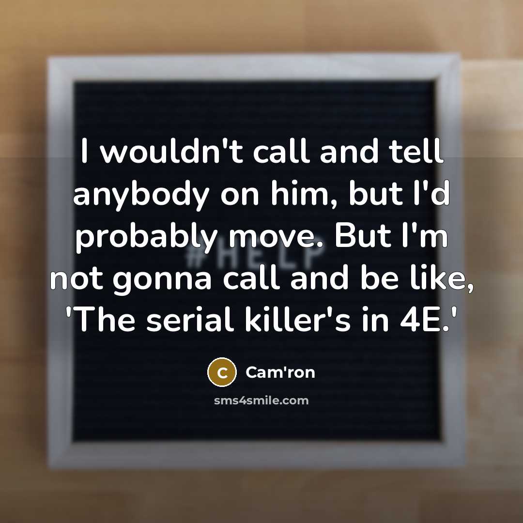 “I wouldn't call and tell anybody on him, but I'd…” quote by Cam'ron
