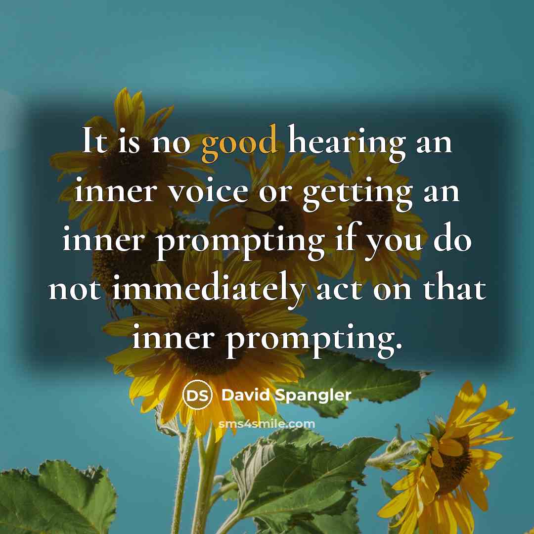 “It is no good hearing an inner voice or getting…” quote by David Spangler