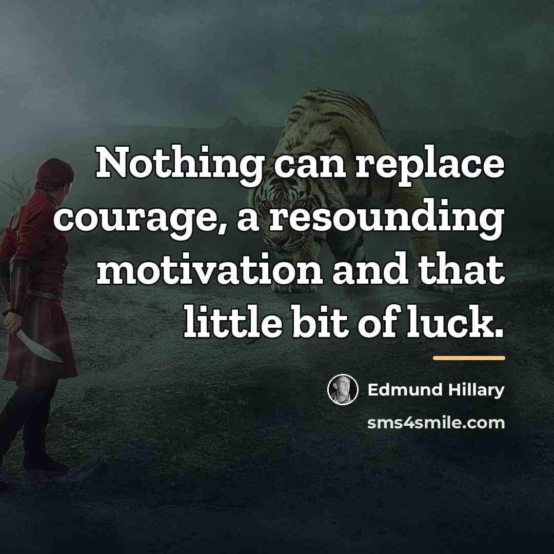 “Nothing can replace courage, a resounding motivation and that little…” quote by Edmund Hillary