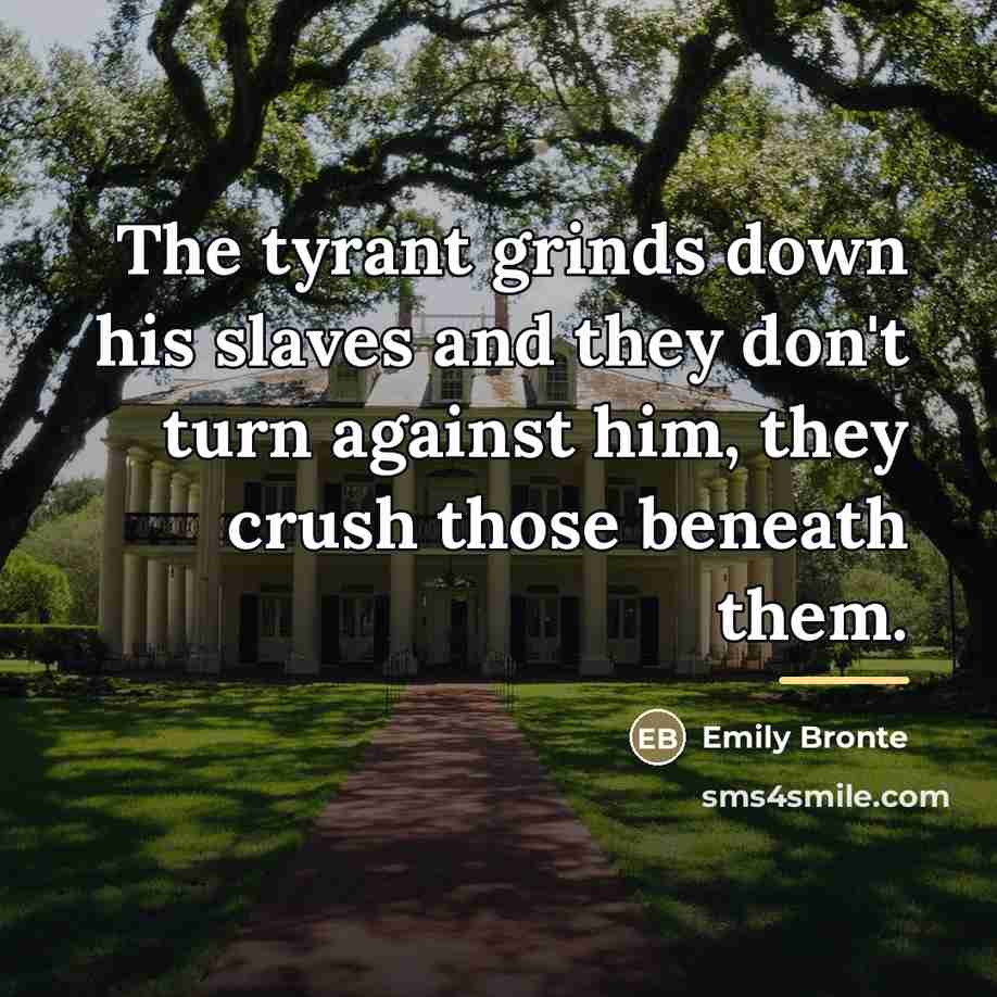 “The tyrant grinds down his slaves and they don't turn…” quote by Emily Bronte