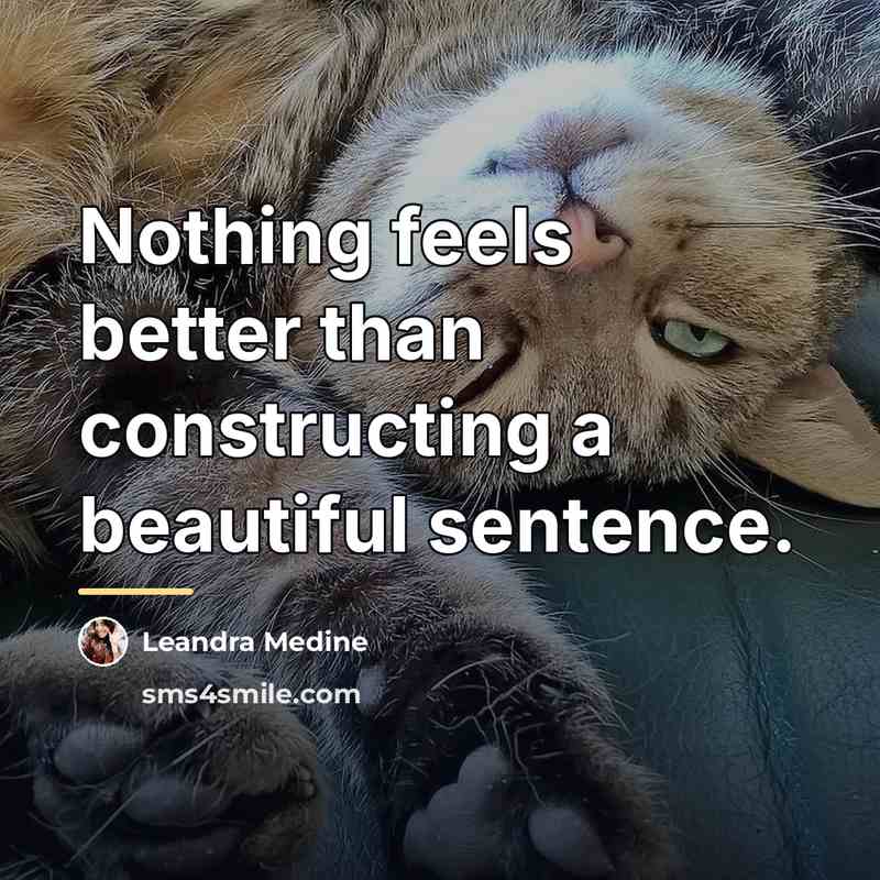 “Nothing feels better than constructing a beautiful sentence.…” quote by Leandra Medine