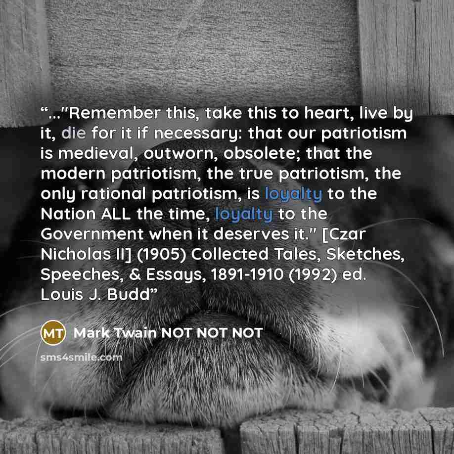 “..."Remember this, take this to heart, live by it, die for it if necessary: that our patriotism is medieval, outworn, obsolete; that the modern patriotism, the true patriotism, the only rational patriotism, is loyalty to the Nation ALL the time, loyalty to the Government when it deserves it."…” quote by Mark Twain NOT NOT NOT