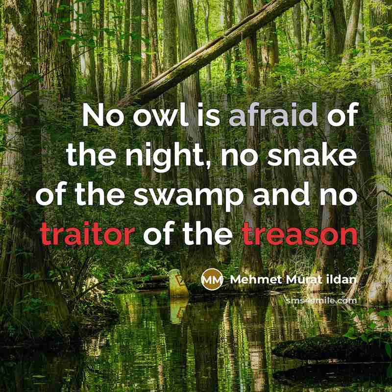 “No owl is afraid of the night, no snake of…” quote by Mehmet Murat Ildan