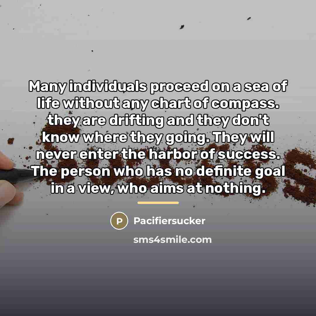 “Many individuals proceed on a sea of life without any…” quote by Pacifiersucker