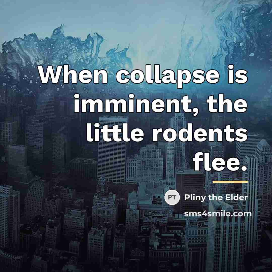 “When collapse is imminent, the little rodents flee.…” quote by Pliny the Elder