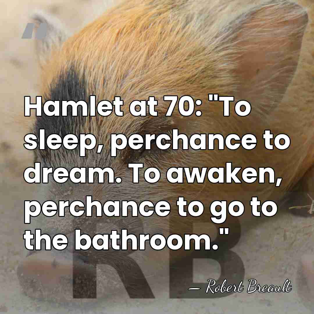 Hamlet at 70: "To sleep, perchance to dream. To awaken, perchance to&hellip; - Robert Breault