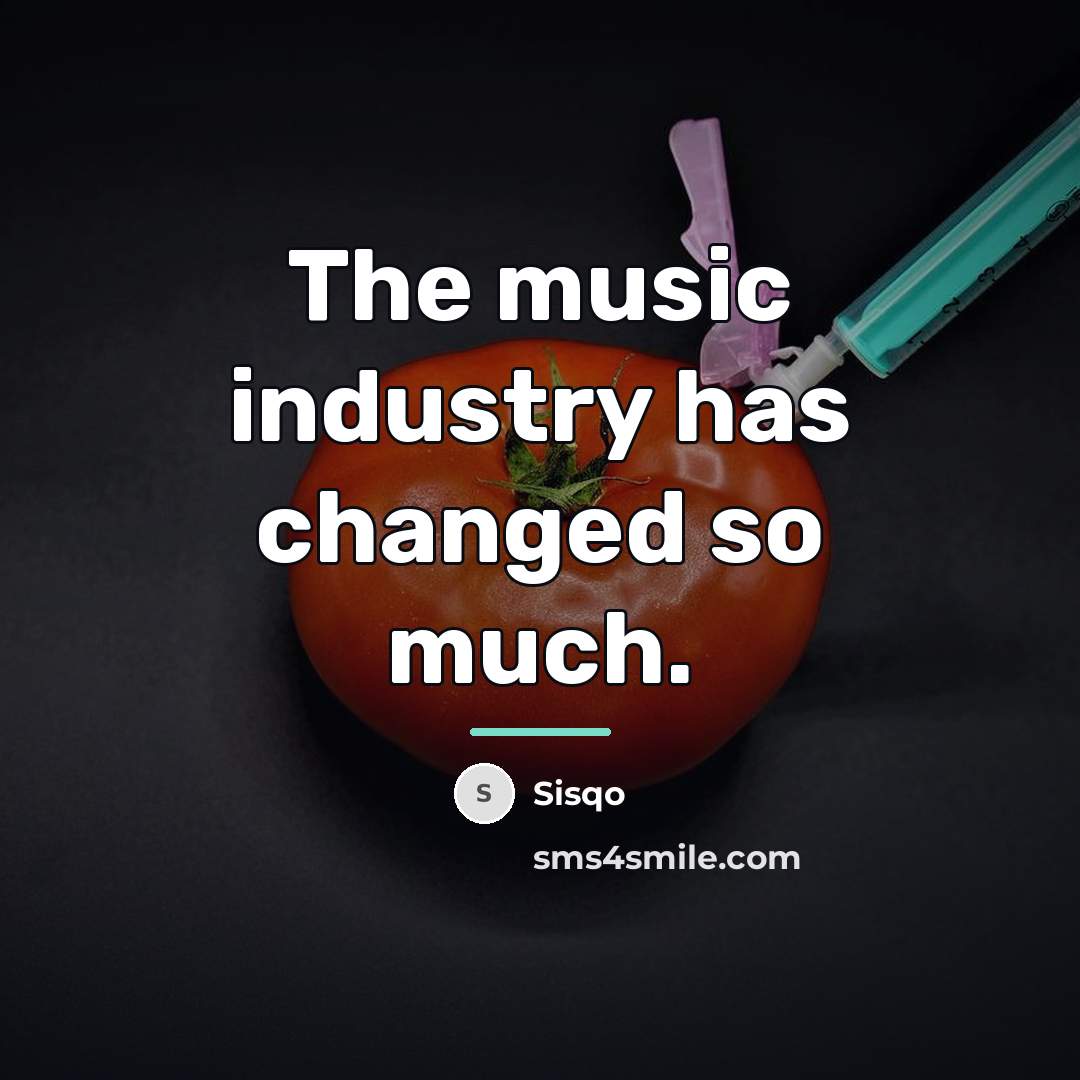 “The music industry has changed so much.…” quote by Sisqo