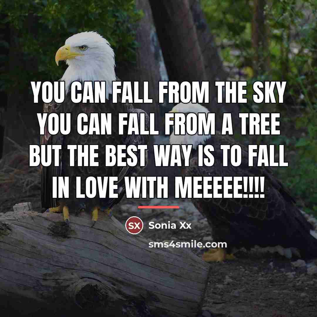 “You can fall from the sky you can fall from…” quote by Sonia Xx