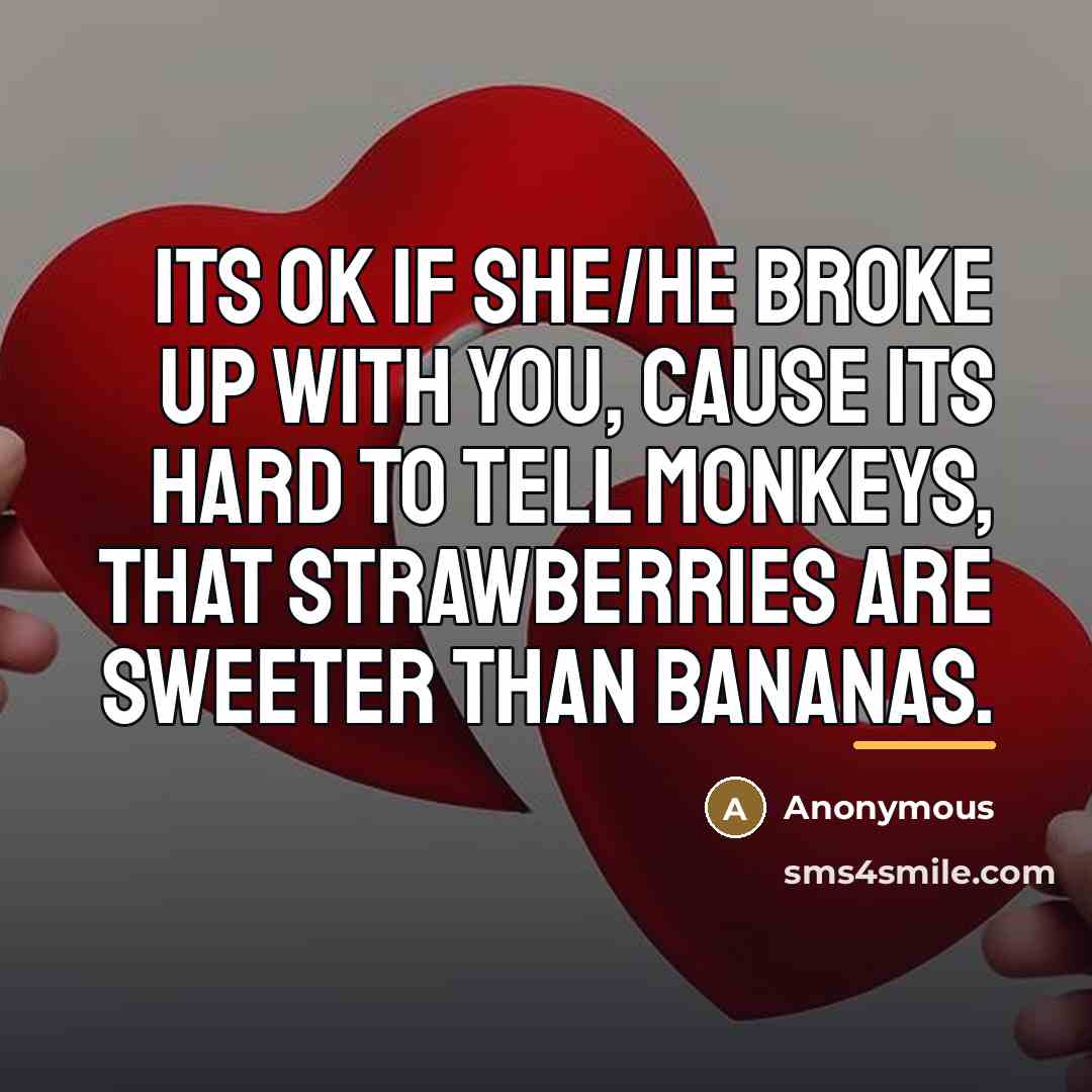 “Its Ok if she/he broke up with you, cause its…” quote by Anonymous