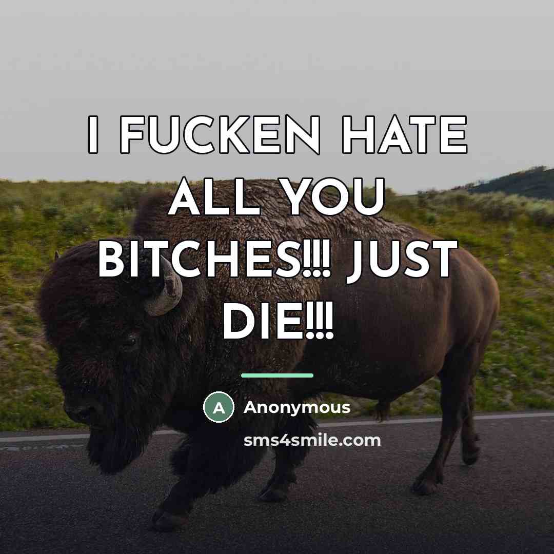 “I FUCKEN HATE ALL YOU BITCHES!!! JUST DIE!!!…” quote by Anonymous