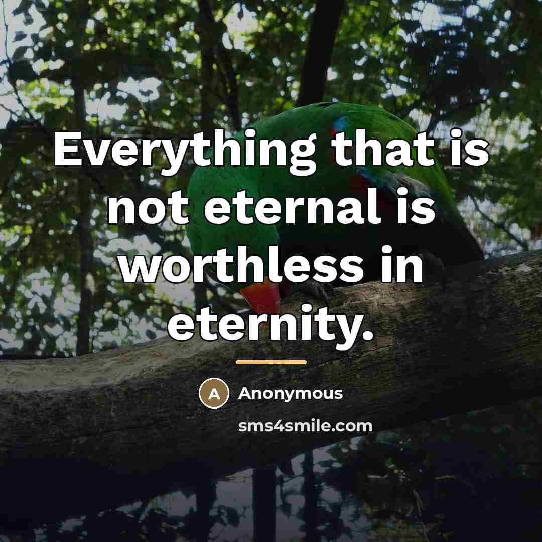 “Everything that is not eternal is worthless in eternity.…” quote by Anonymous