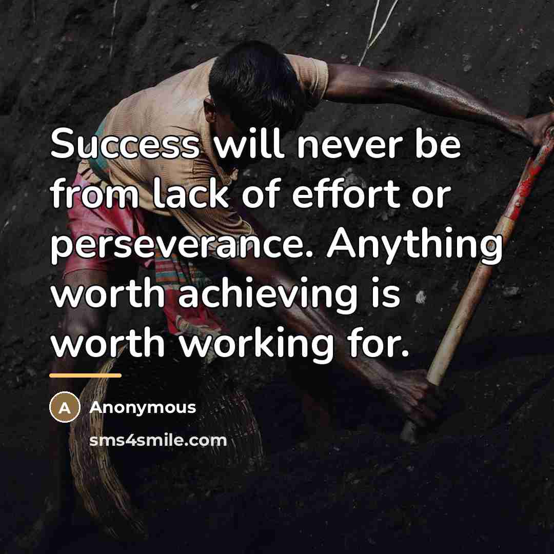 “Success will never be from lack of effort or perseverance.…” quote by Anonymous
