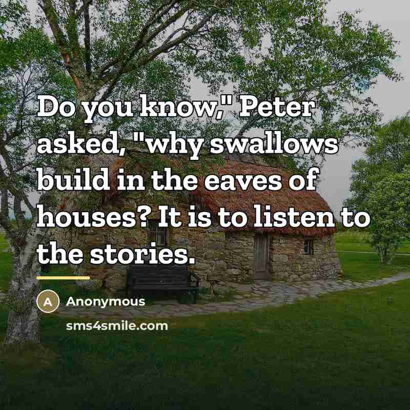 “Do you know," Peter asked, "why swallows build in the…” quote by Anonymous