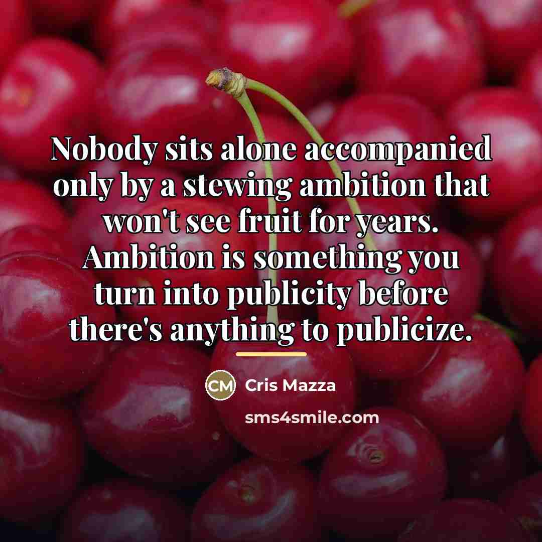 “Nobody sits alone accompanied only by a stewing ambition that…” quote by Cris Mazza