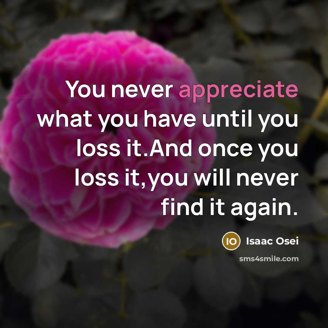 “You never appreciate what you have until you loss it.And once you loss it,you will never find it again.” quote by Isaac Osei