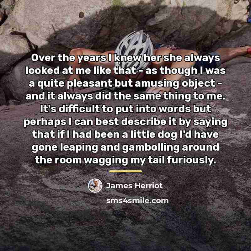 “Over the years I knew her she always looked at…” quote by James Herriot