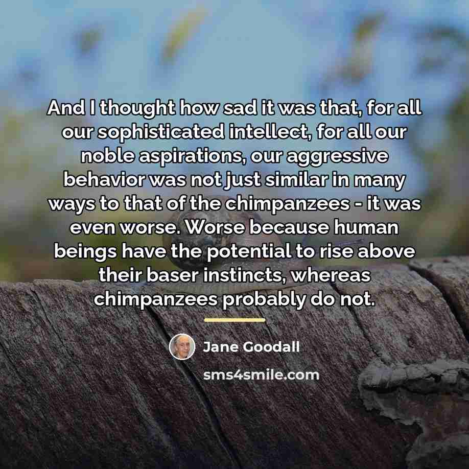 “And I thought how sad it was that, for all…” quote by Jane Goodall