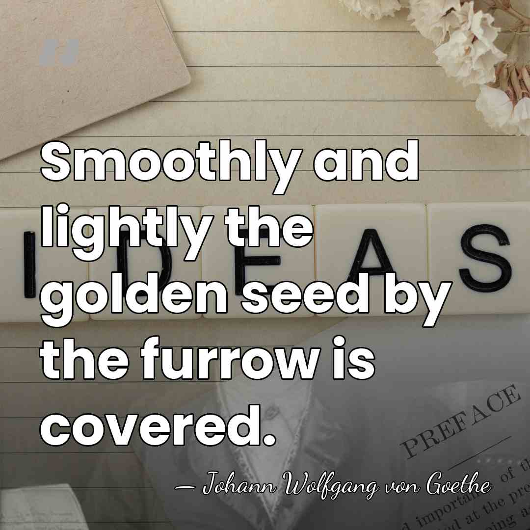 Smoothly and lightly the golden seed by the furrow is covered. - Johann Wolfgang von Goethe