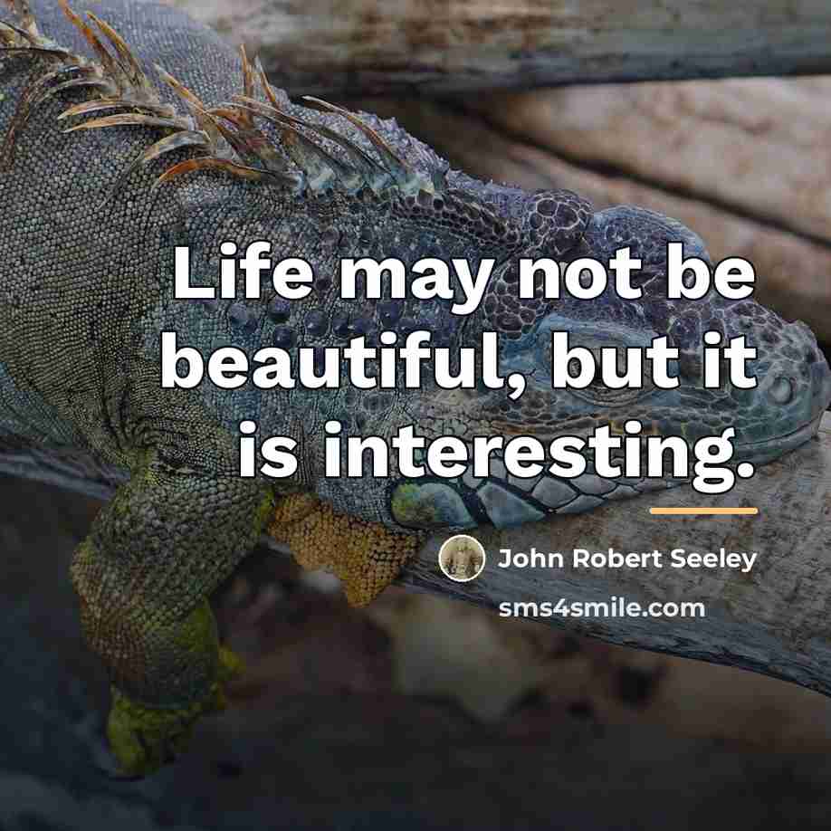 “Life may not be beautiful, but it is interesting.…” quote by John Robert Seeley