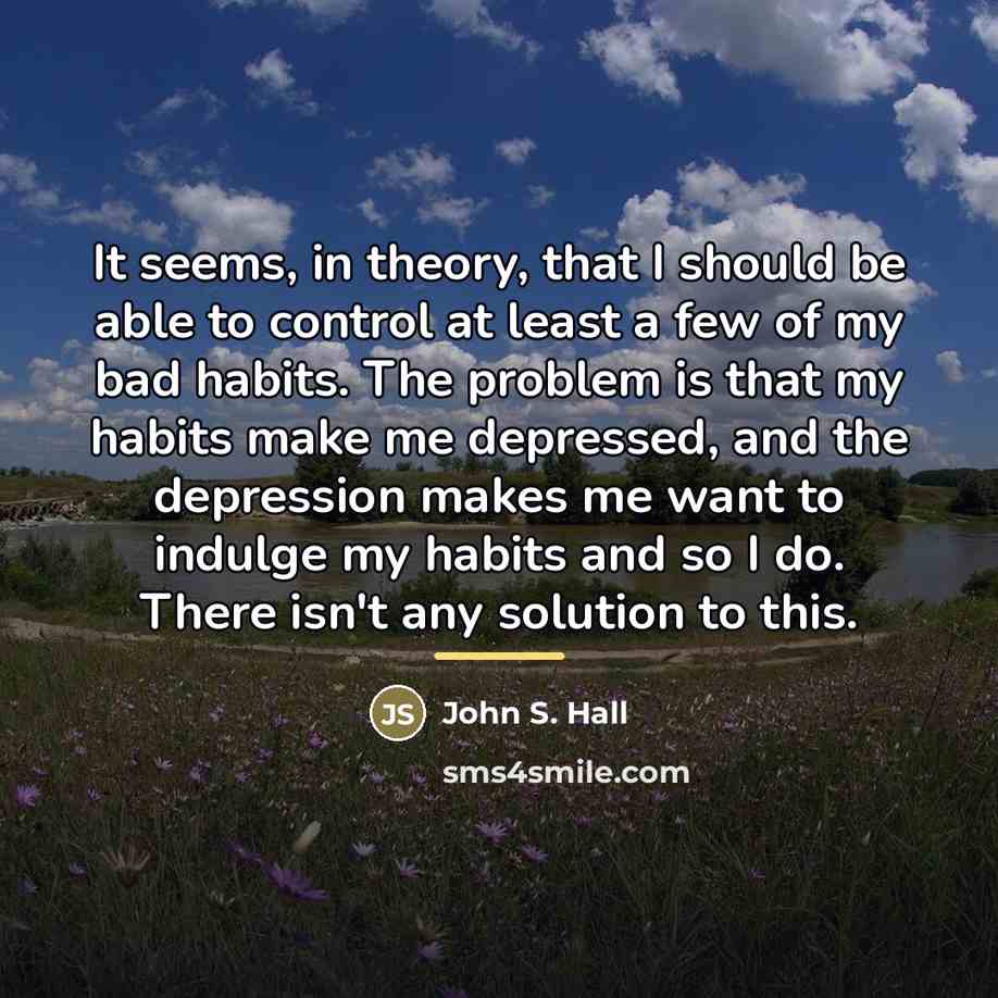 “It seems, in theory, that I should be able to…” quote by John S. Hall