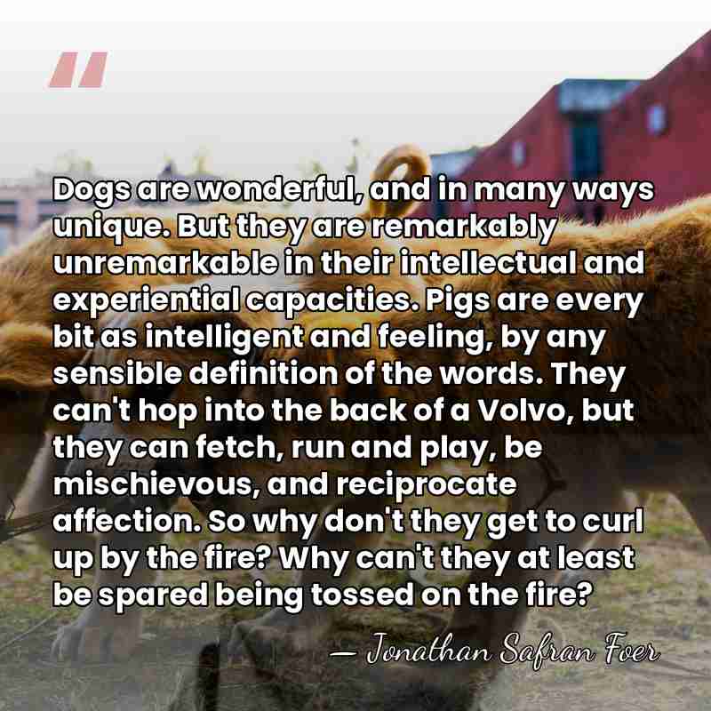 Dogs are wonderful, and in many ways unique. But they are remarkably&hellip; - Jonathan Safran Foer