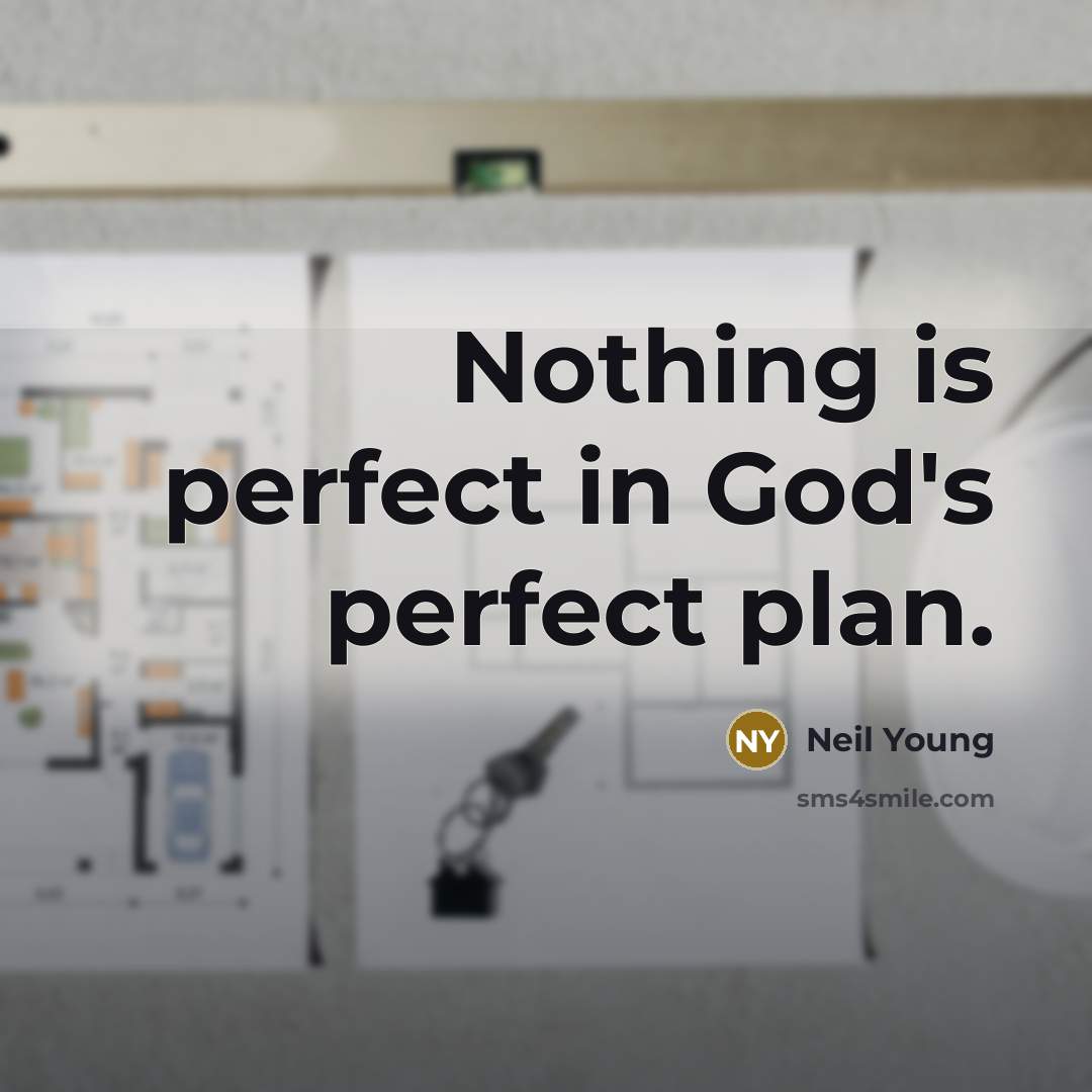 “Nothing is perfect in God's perfect plan.…” quote by Neil Young