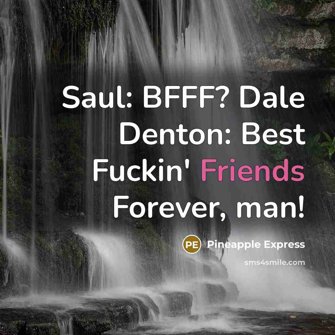“Saul: BFFF? Dale Denton: Best Fuckin' Friends Forever, man!…” quote by Pineapple Express
