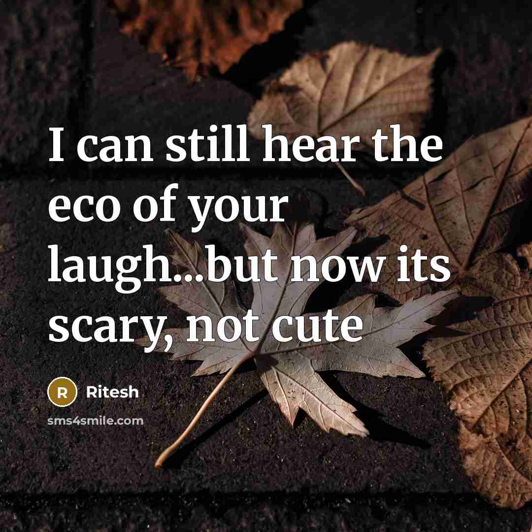 “I can still hear the eco of your laugh...but now…” quote by Ritesh