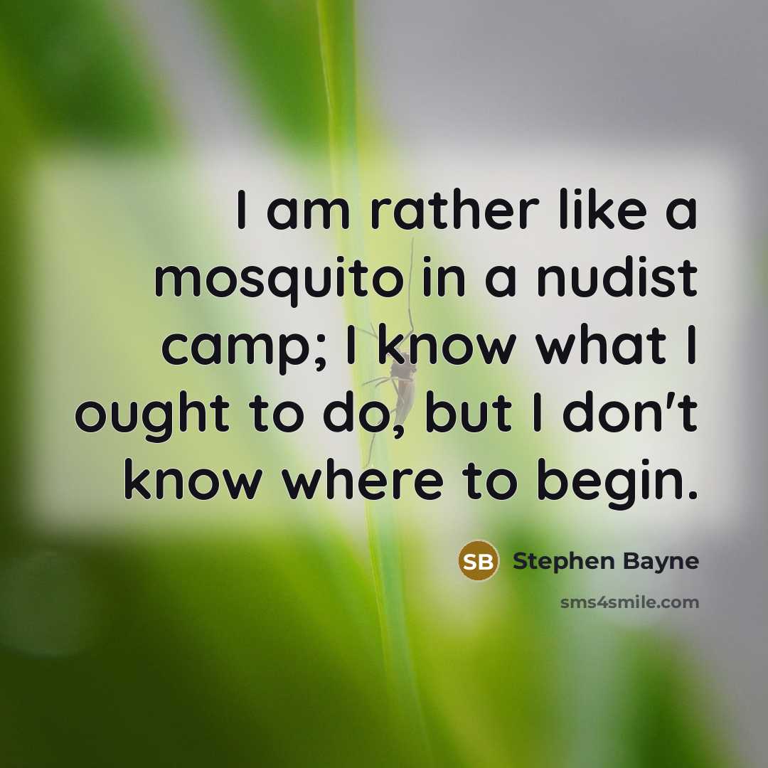 “I am rather like a mosquito in a nudist camp;…” quote by Stephen Bayne