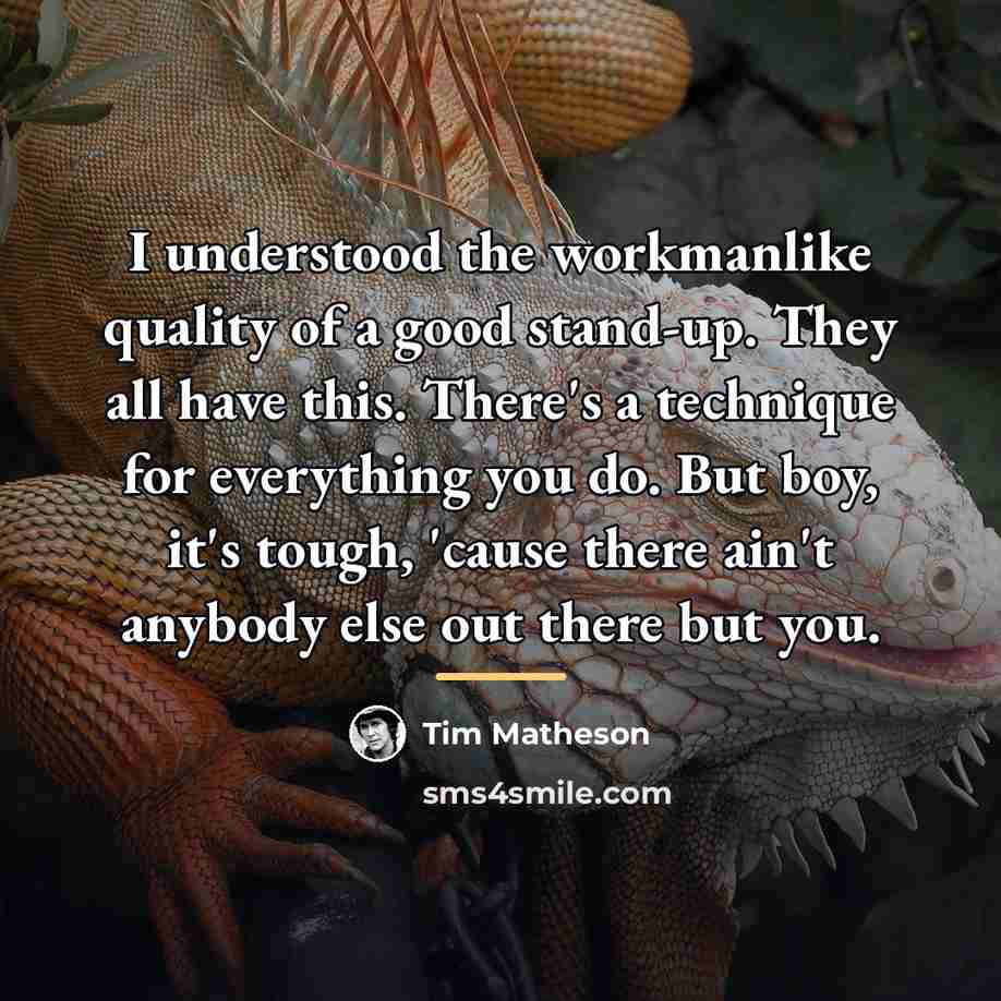 “I understood the workmanlike quality of a good stand-up. They…” quote by Tim Matheson