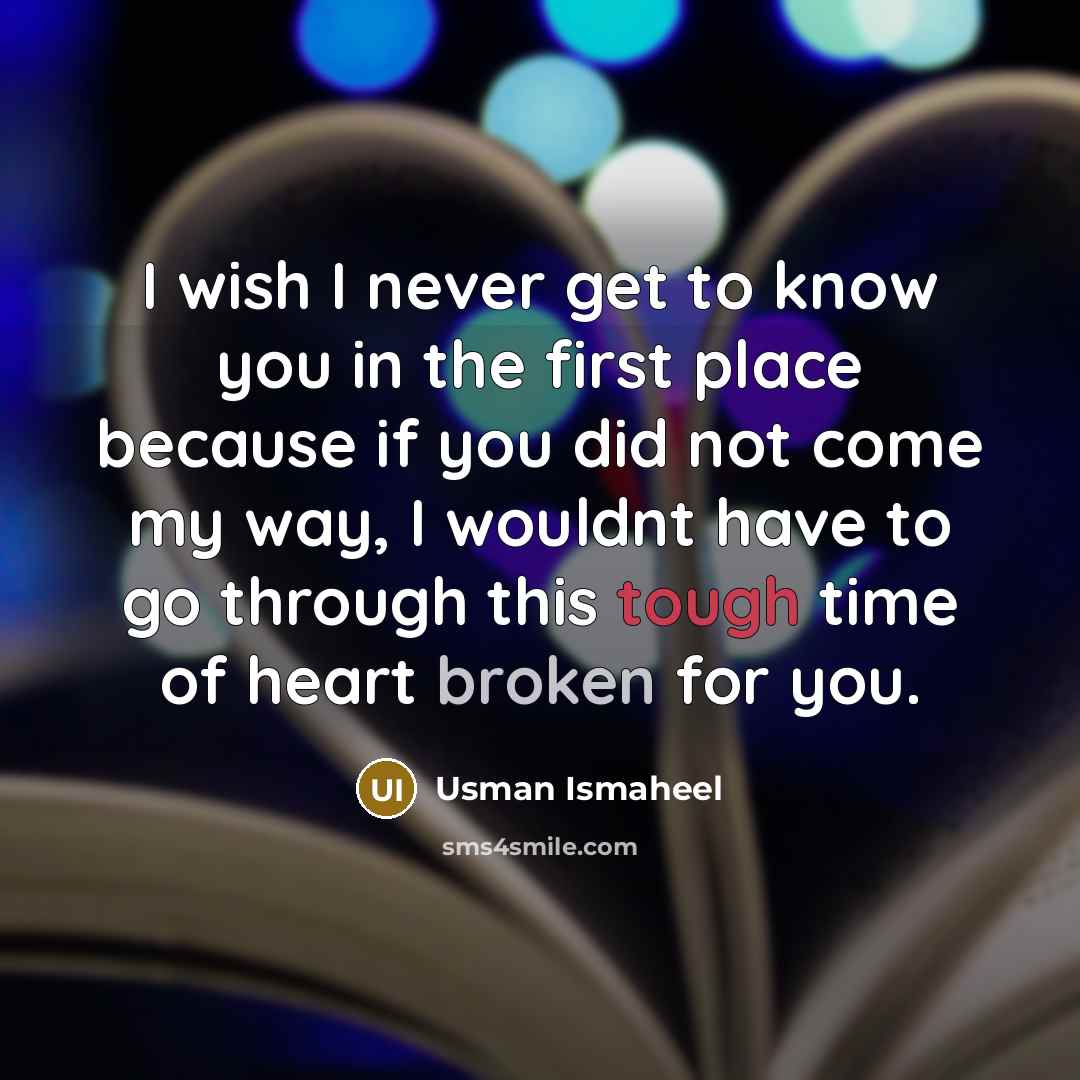 “I wish I never get to know you in the…” quote by Usman Ismaheel