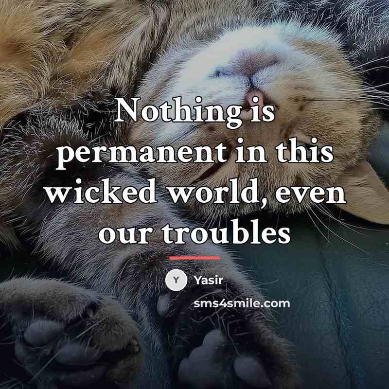 “Nothing is permanent in this wicked world, even our troubles…” quote by Yasir