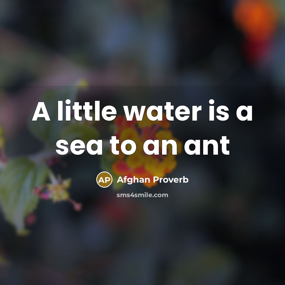 “A little water is a sea to an ant” quote by Afghan Proverb