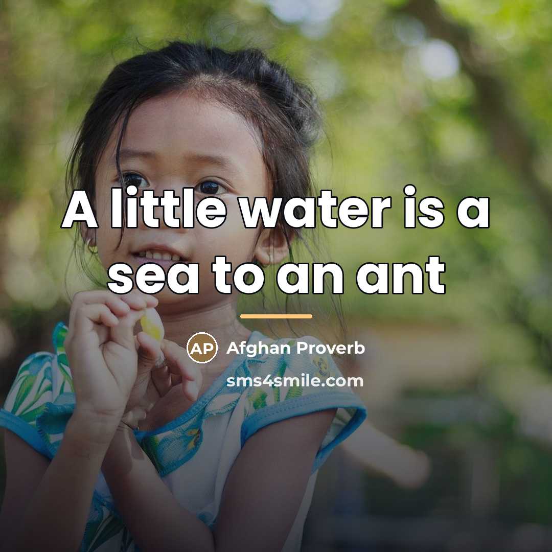 “A little water is a sea to an ant…” quote by Afghan Proverb