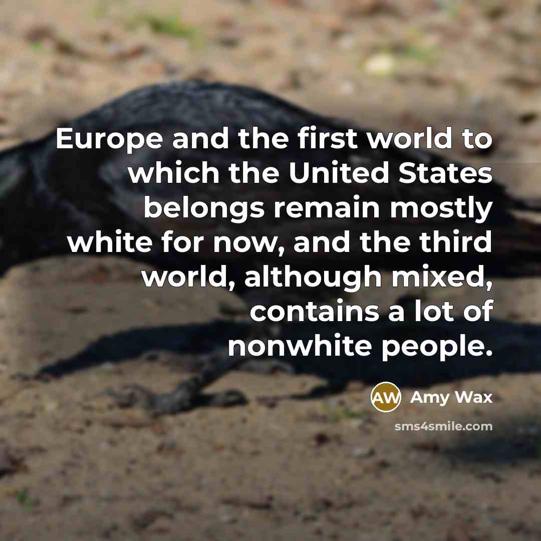 “Europe and the first world to which the United States…” quote by Amy Wax