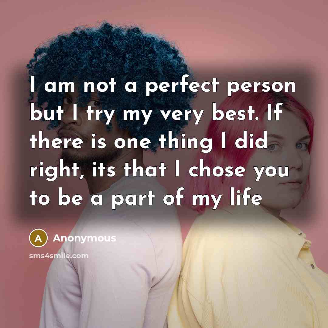 “I am not a perfect person but I try my…” quote by Anonymous