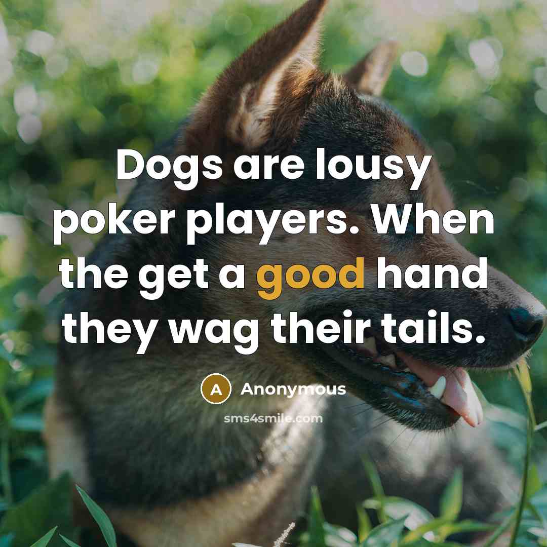 “Dogs are lousy poker players. When the get a good…” quote by Anonymous