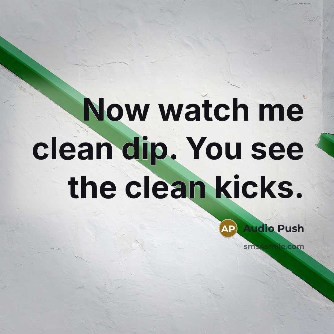 “Now watch me clean dip. You see the clean kicks.…” quote by Audio Push