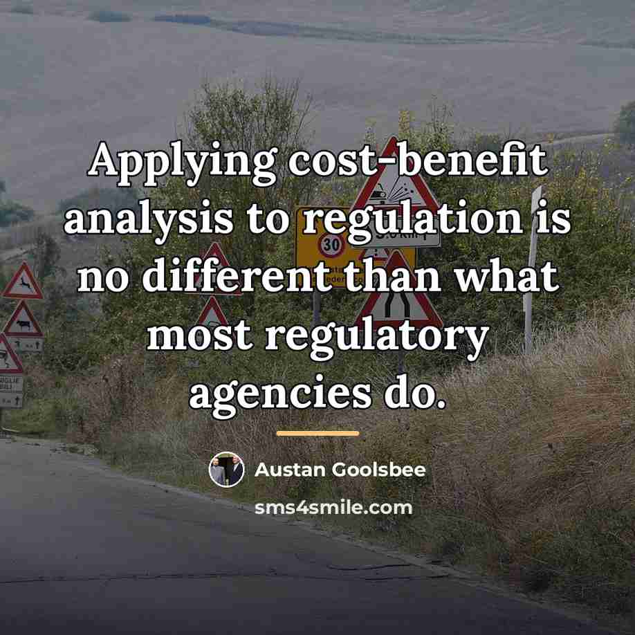 “Applying cost-benefit analysis to regulation is no different than what…” quote by Austan Goolsbee