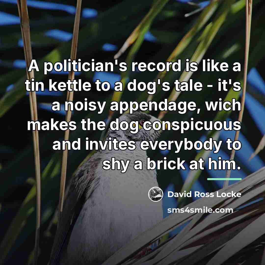 “A politician's record is like a tin kettle to a…” quote by David Ross Locke