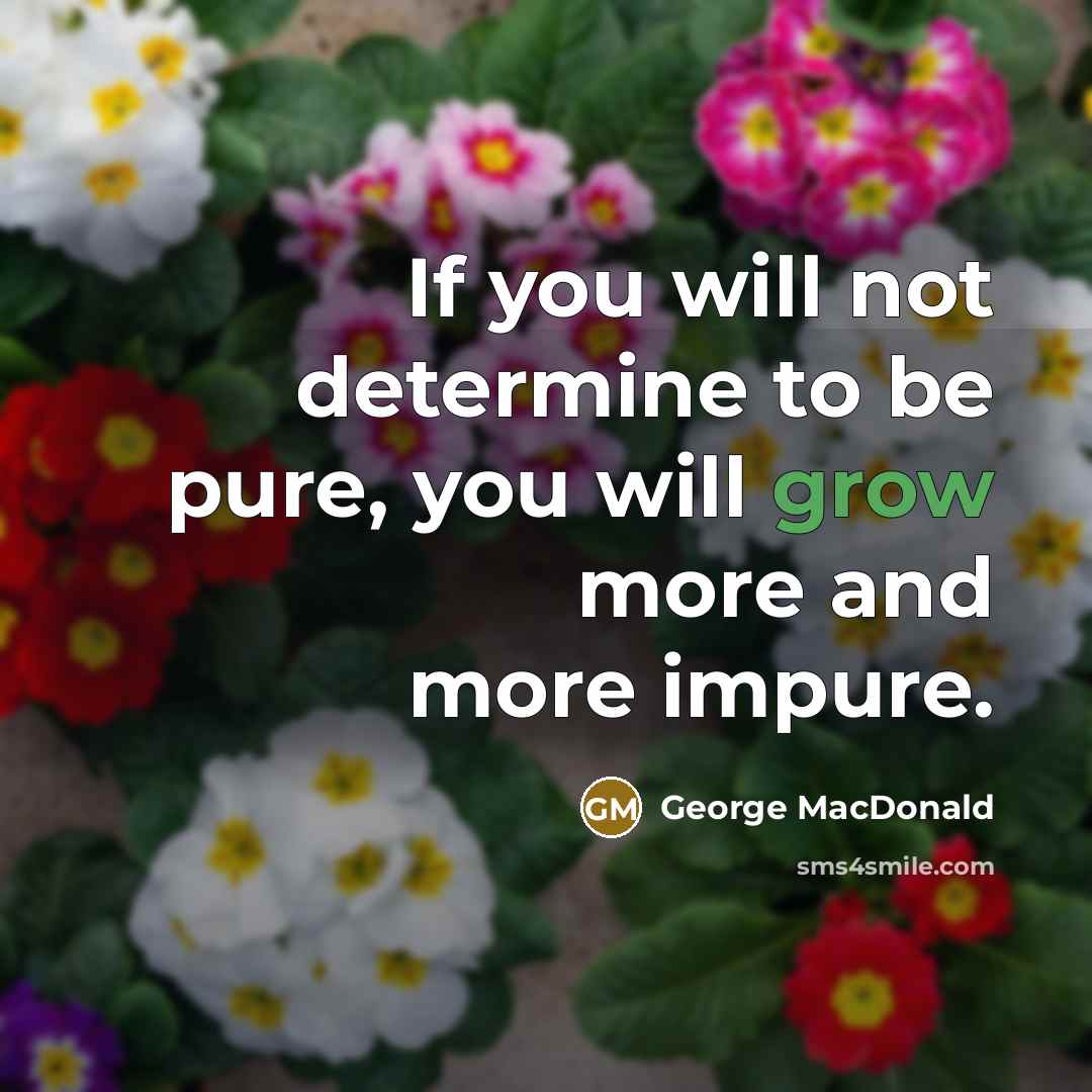 “If you will not determine to be pure, you will…” quote by George MacDonald