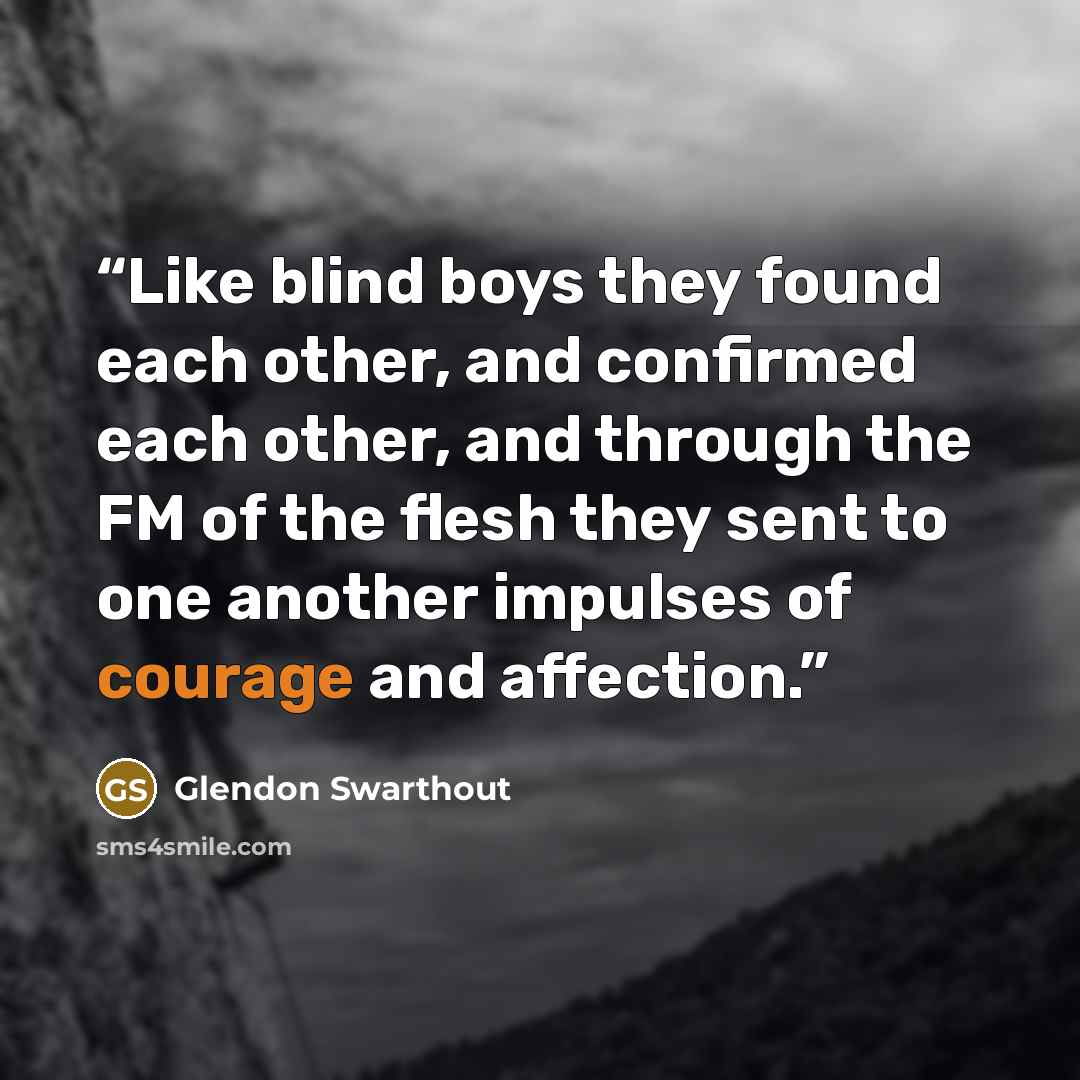 “Like blind boys they found each other, and confirmed each other, and through the FM of the flesh they sent to one another impulses of courage and affection.” quote by Glendon Swarthout