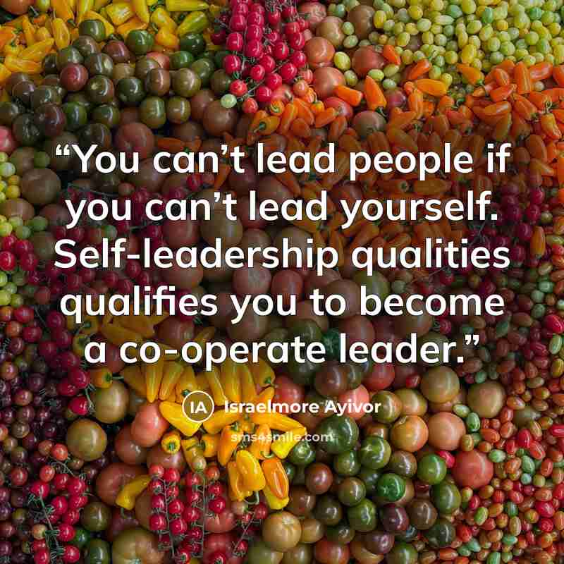 “You can’t lead people if you can’t lead yourself. Self-leadership qualities qualifies you to become a co-operate leader.” quote by Israelmore Ayivor