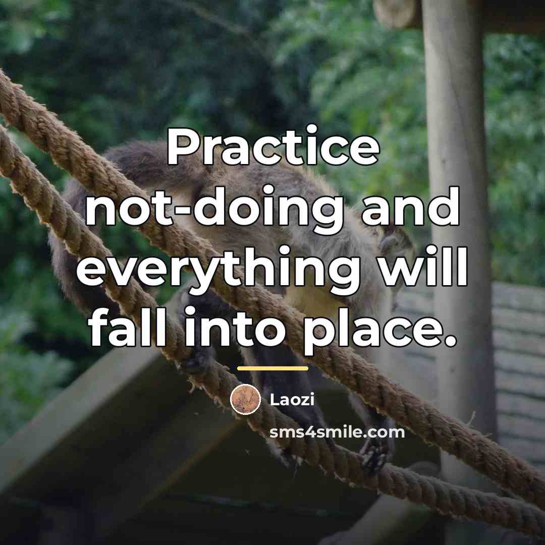 “Practice not-doing and everything will fall into place.…” quote by Laozi