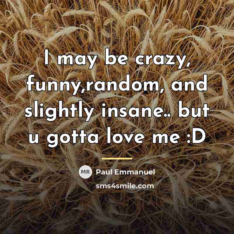 “I may be crazy, funny,random, and slightly insane.. but u…” quote by Paul Emmanuel