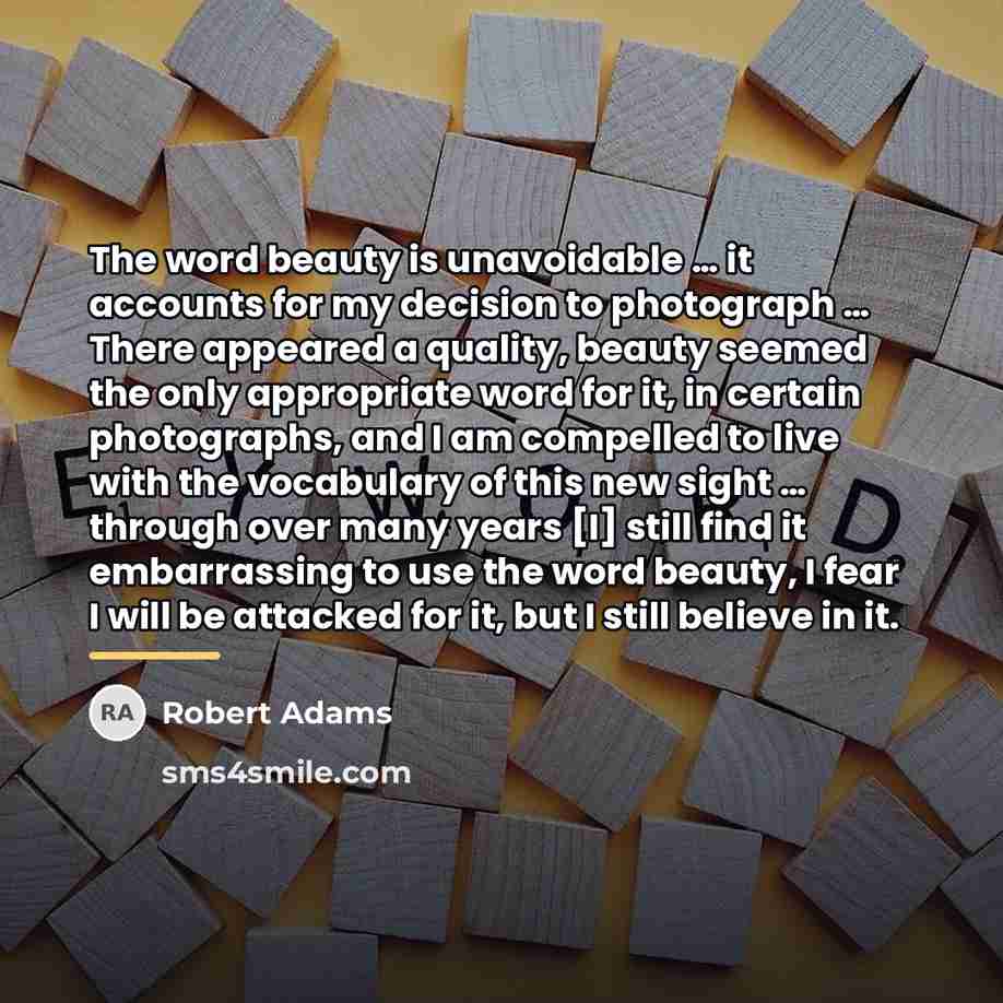 “The word beauty is unavoidable … it accounts for my…” quote by Robert Adams