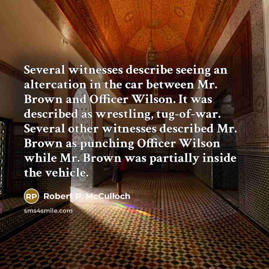 “Several witnesses describe seeing an altercation in the car between…” quote by Robert P. McCulloch