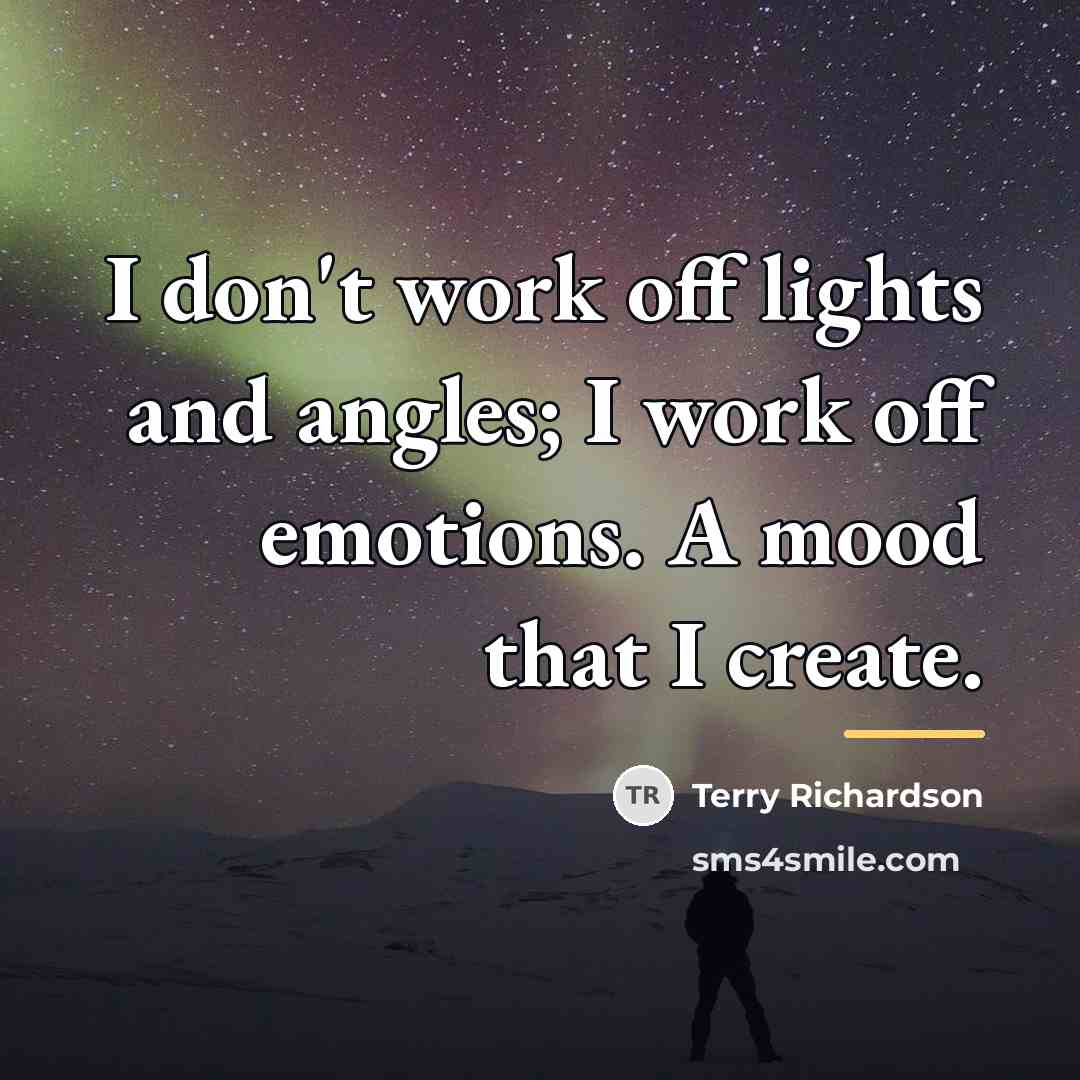 “I don't work off lights and angles; I work off…” quote by Terry Richardson